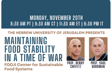 Maintaining Food Stability in a Time of War