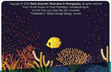 Netta Kasher - Academic Illustrations