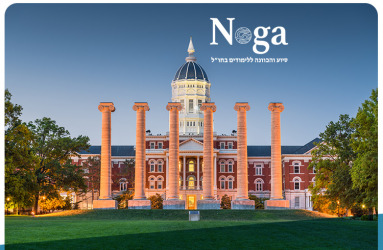 Noga - Consultancy