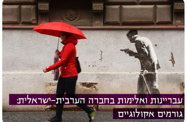 Delinquency and violence in the Israeli-Arab society: ecological factors