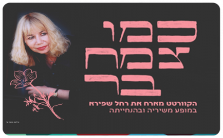 As A Wild Flower - Rachel Shapira