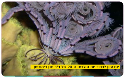 Dr Chanan Dimentman - 90!