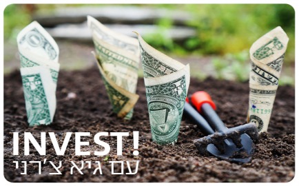 Invest with Guy Cherny