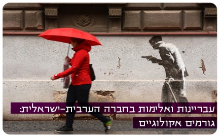 Delinquency and violence in the Israeli-Arab society: ecological factors