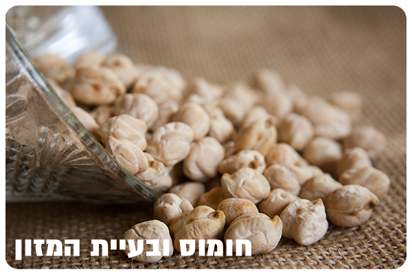Chickpeas and World Hunger