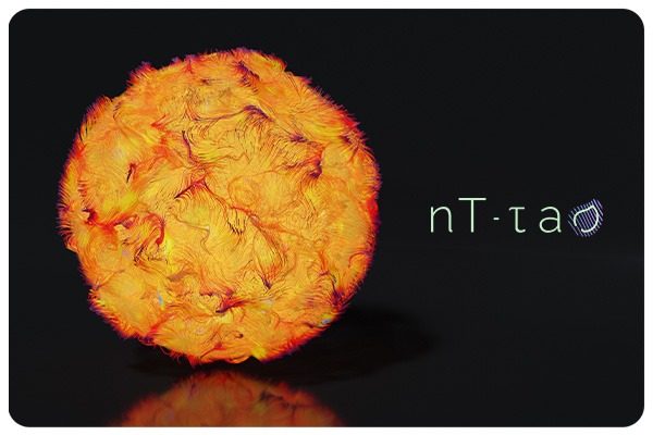NT-Tao - Round A