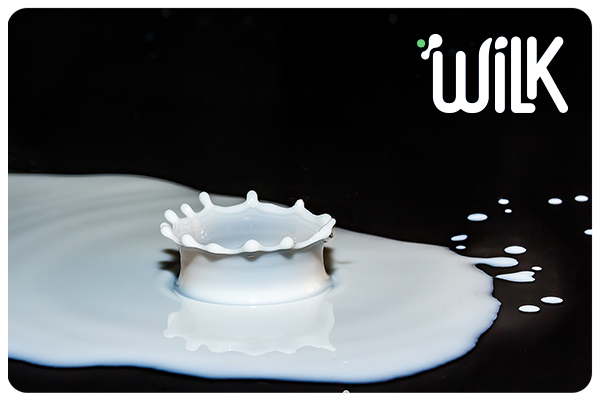 Wilk received 3.5 mil round investment from Danone