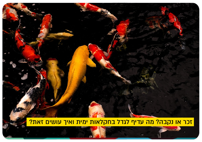 Huji-Agri Lecture - How to choose male or female fish?