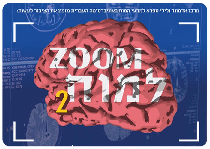 Brain Zoom Series 2