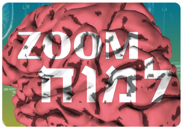 Webinar Series: Zoom to the Brain