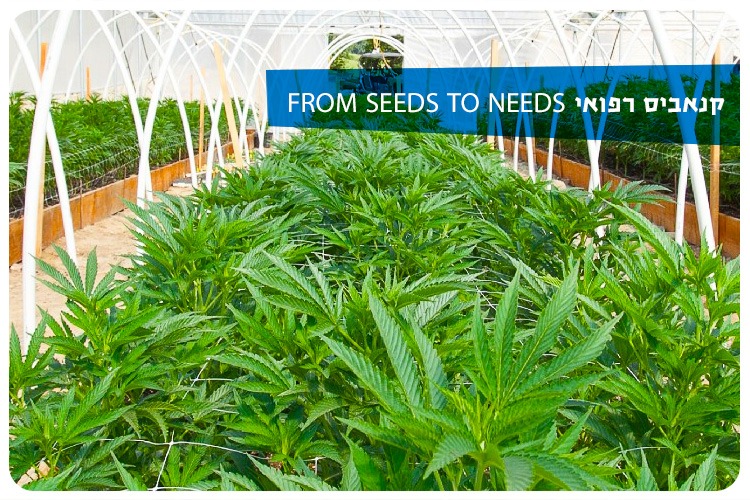 Medical Cannabis Course 2021