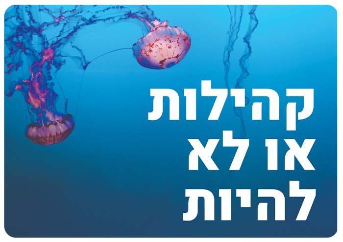 קורס ניהול קהילה Community Management