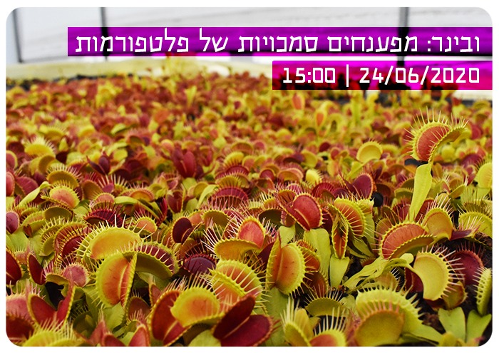 מפענחים סמכויות של פלטפורמות Decoding Platforms Authority