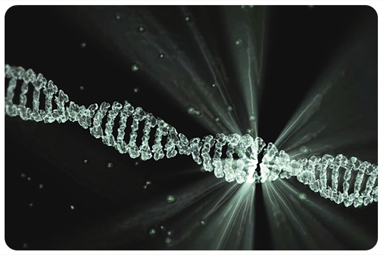 New DNA current research