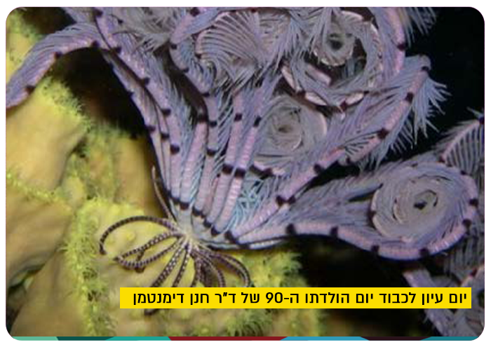Dr Chanan Dimentman - 90!