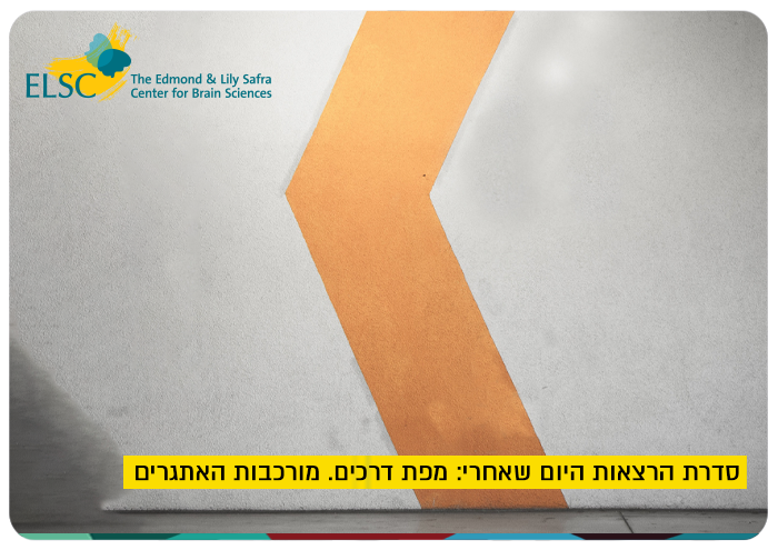 ELSC: Yval Diskin - Complexity of Challenges