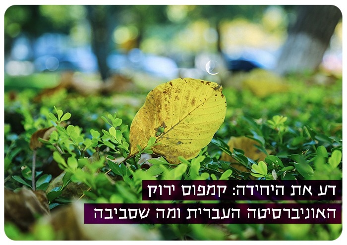 Hebrew University of Jerusalem - Green Campus