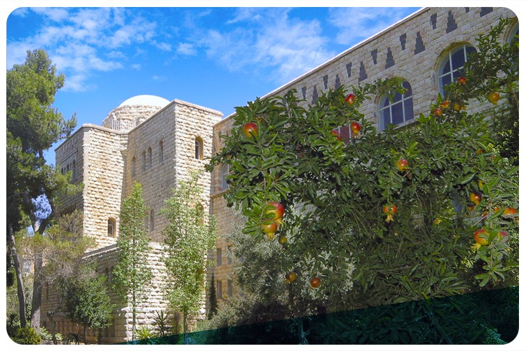 Faculty of Law Top Rating