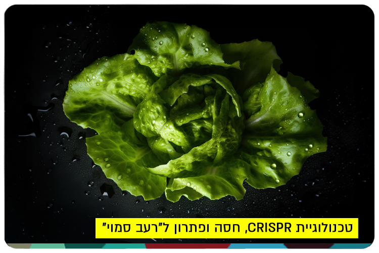 CRISPR, lettuce and hidden hunger
