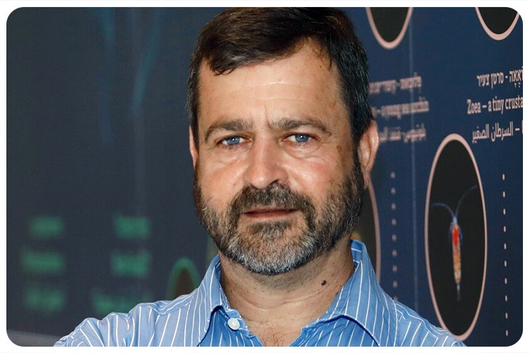 Professor Marcelo Shternberg