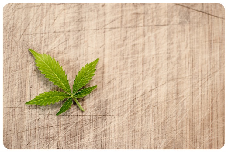 Medical Cannabis Effects on Children