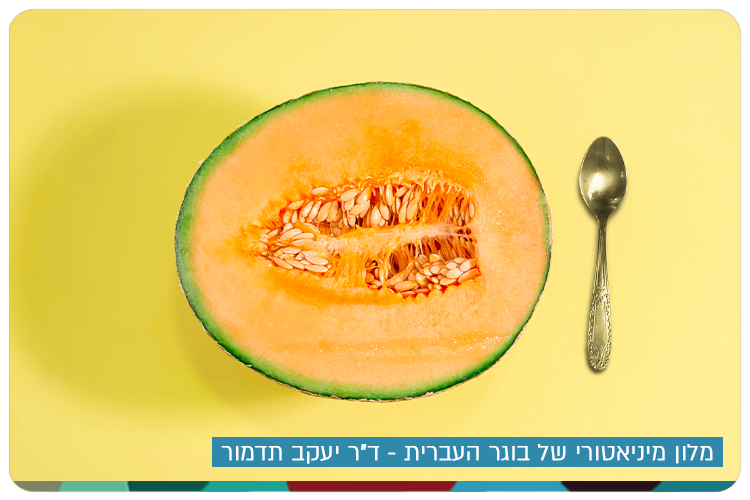 Miniature Melon by Dr. Yaakov Tadmor