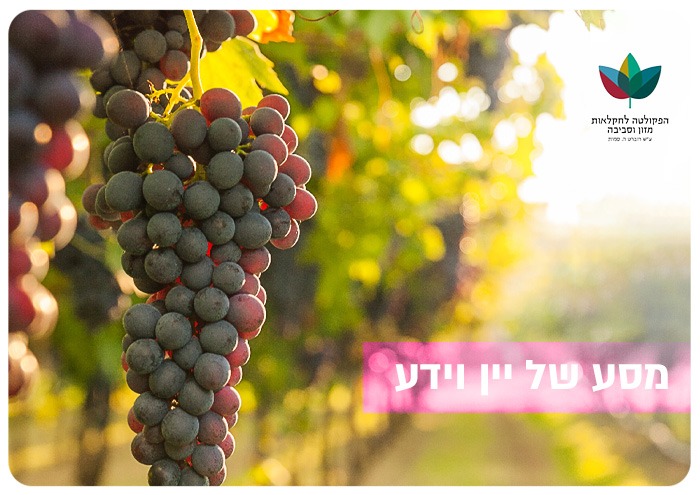 MSc In Viticulture - Meetup