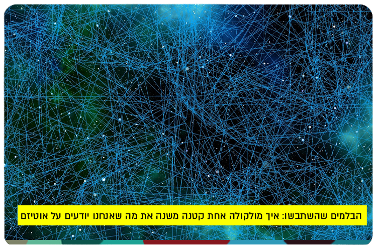 Broken Brakes, Nitric Oxide and Autism