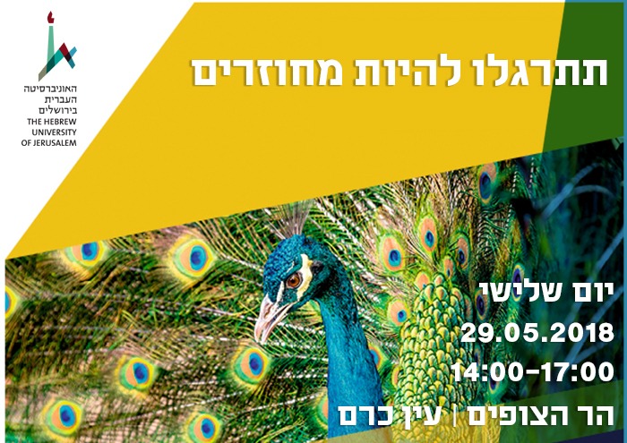 Open Day MA Studies 29.05