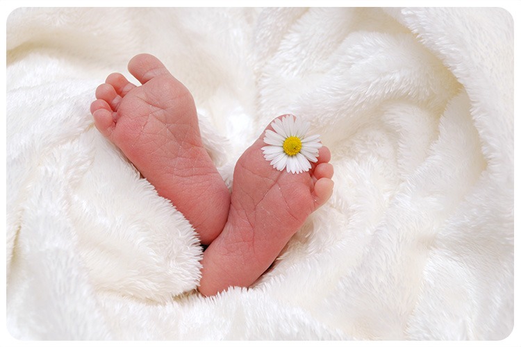 Pregnantech - premature births solution