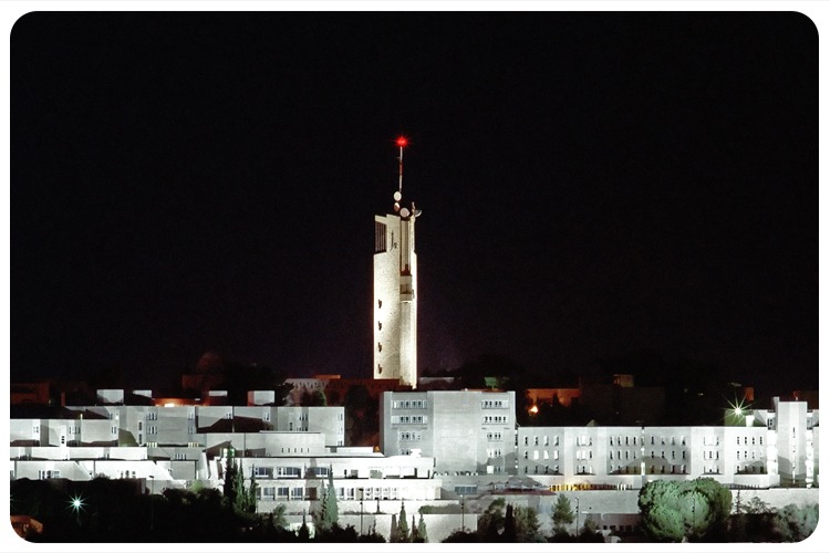 Prizes &amp; Grants for HUJI Scientists