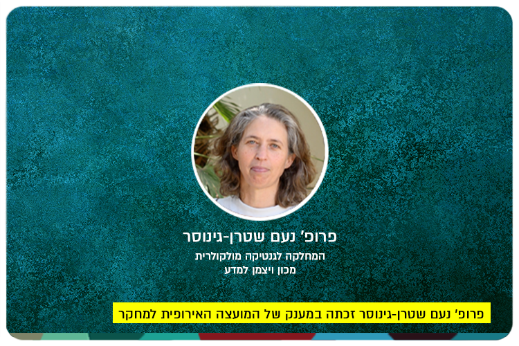 Prof. Noam Stern-Ginossar - ERC Grant 2024