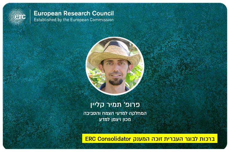Prof. Tamir Klein - ERC Grant