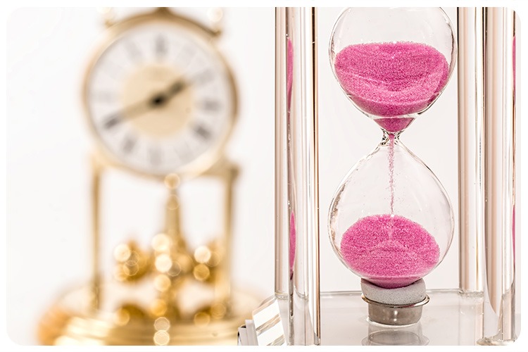 Slow Aging - Research by HUJI Alumni