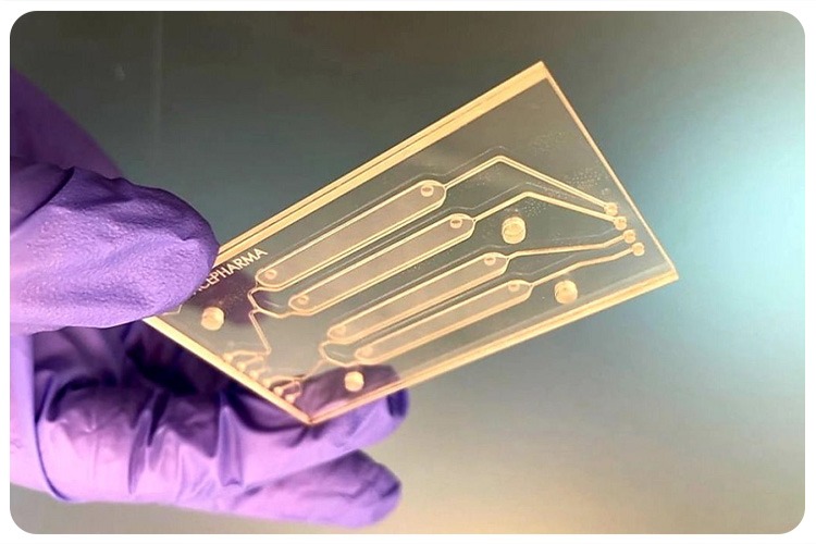 Space Pharma - Lab on a Chip