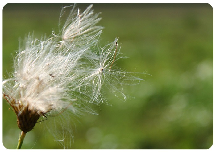 לאצור את הרגע לעצור לרגע - אמנות באוניברסיטה העברית Stop a moment