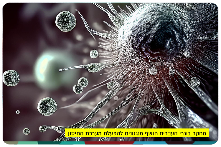 T-Cells Activation Research by HUJI Alumni