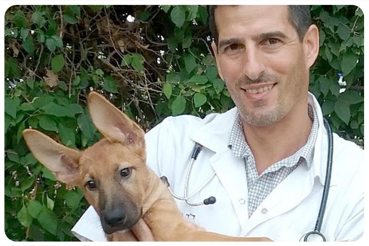 Dr. Tal Assif - New veterinary service manager