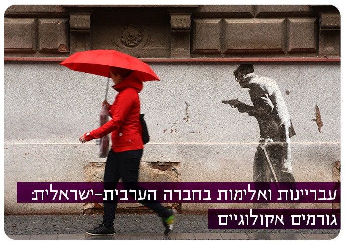 Delinquency and violence in the Israeli-Arab society: ecological factors