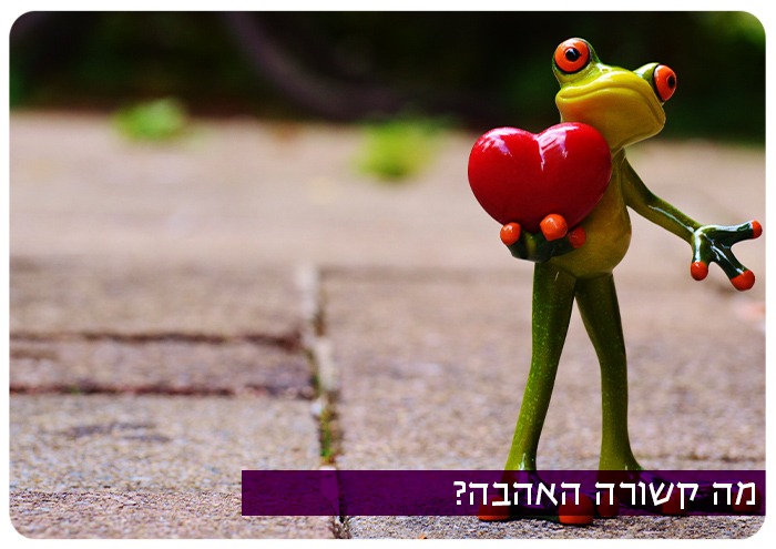 מה קשורה האהבה? Torch Talks - Whats Love got to do with it?
