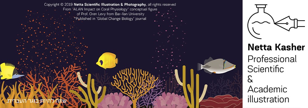 Netta Kasher - Academic Illustrations