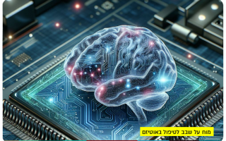Itay&Beyond - Brain on chip