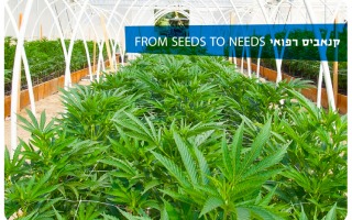 Medical Cannabis Course 2021