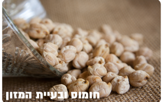 Chickpeas and World Hunger