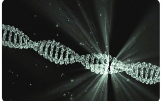 New DNA current research