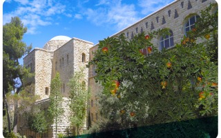 Faculty of Law Top Rating