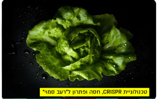 CRISPR, lettuce and hidden hunger