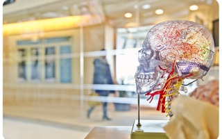 Long Term Memory Research