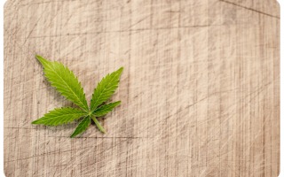 Medical Cannabis Effects on Children