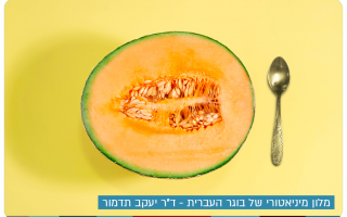 Miniature Melon by Dr. Yaakov Tadmor